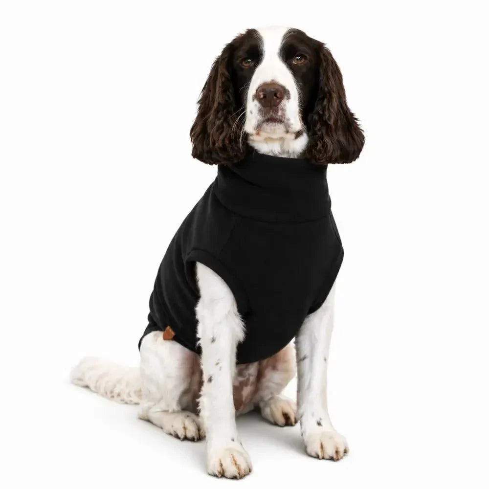 Pet Products