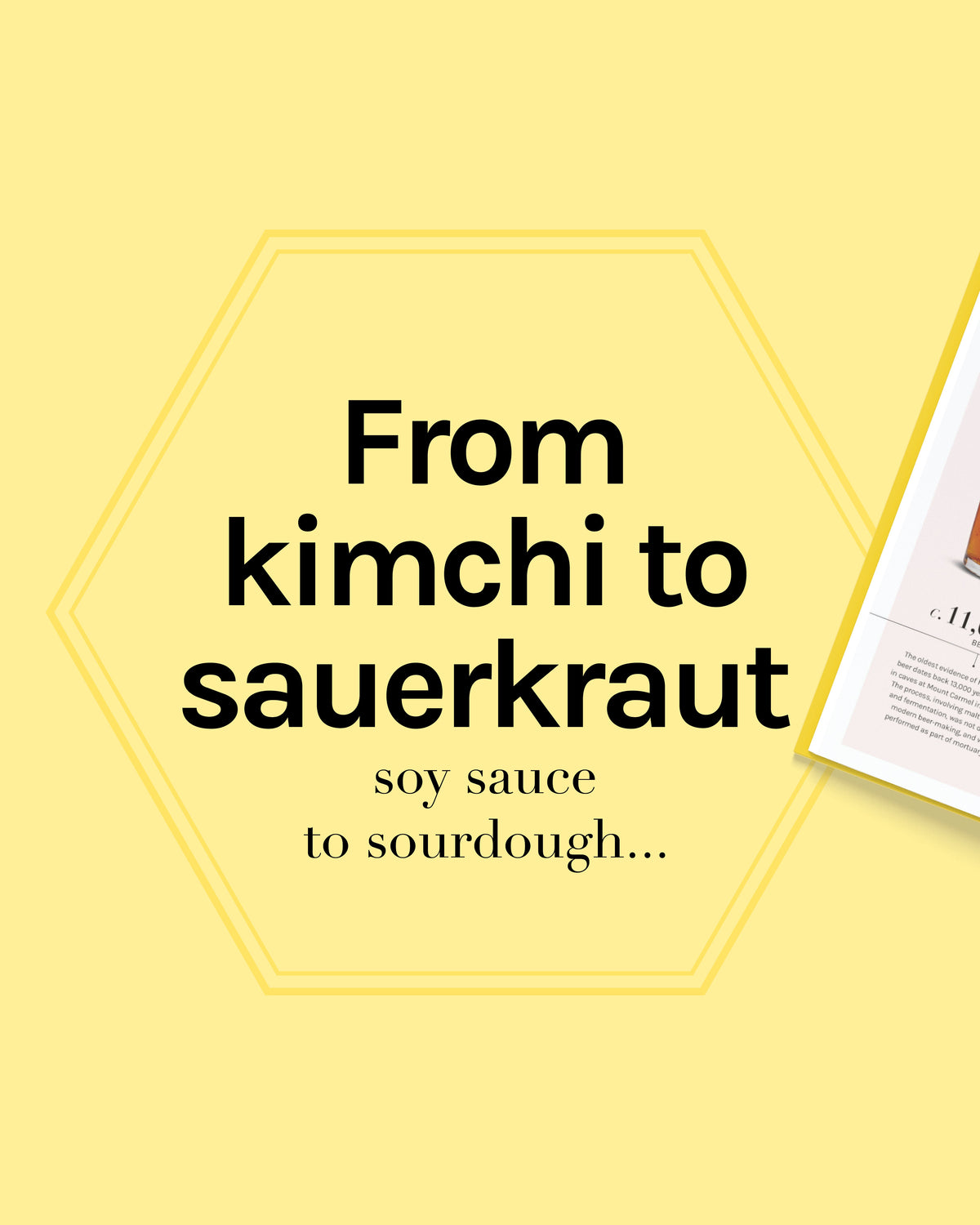 The Science of Fermentation