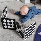 0+ Month Sensory Board