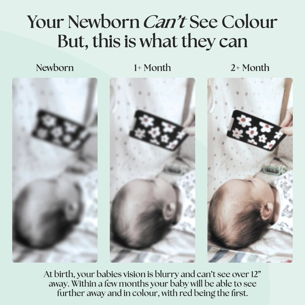 0+ Month Newborn Sensory Cards