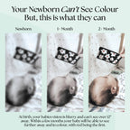 0+ Month Newborn Sensory Cards