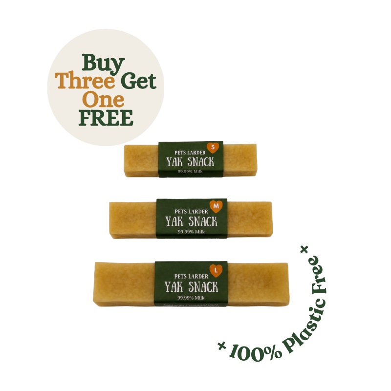 Yak Snack — Natural Himalayan Chew for Dogs