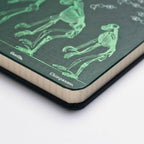 Evolution & Genetics A5 Hardcover