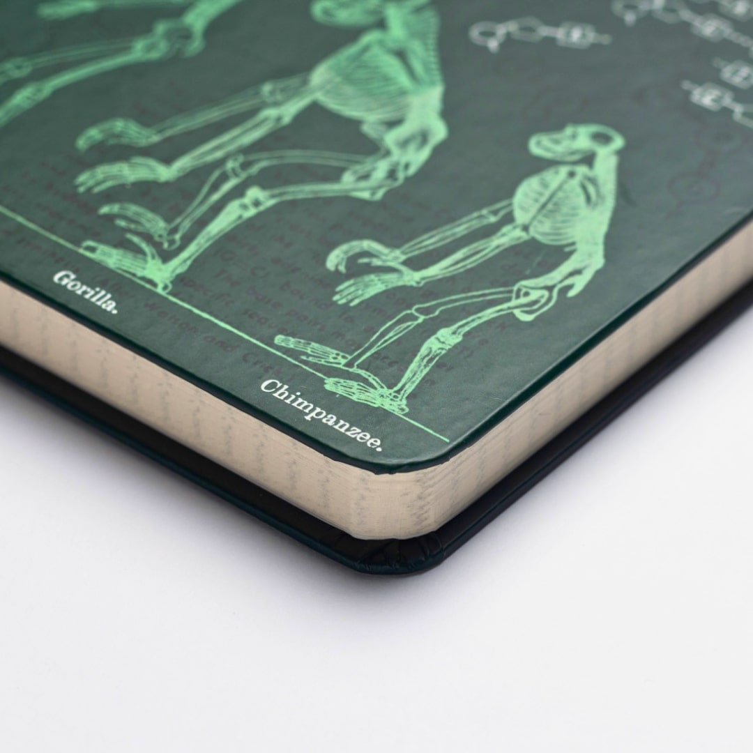 Evolution & Genetics A5 Hardcover