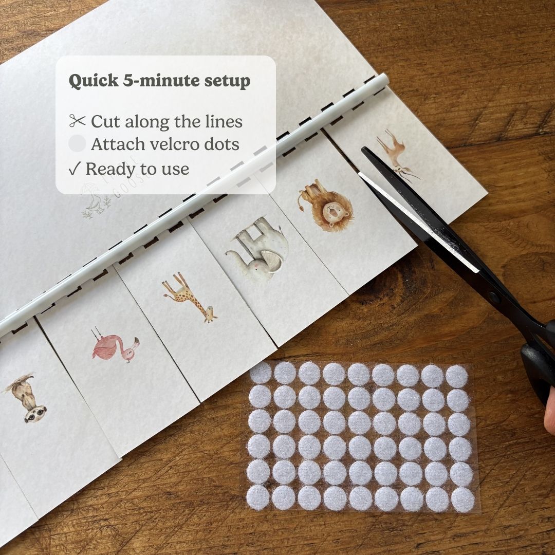 Routine Planners
