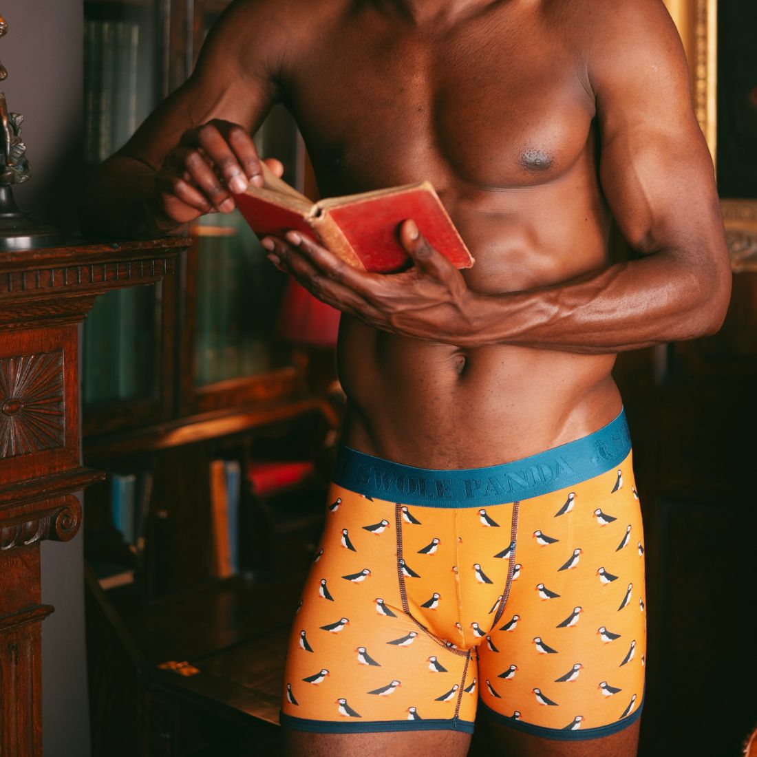 Bamboo Boxers - Puffins