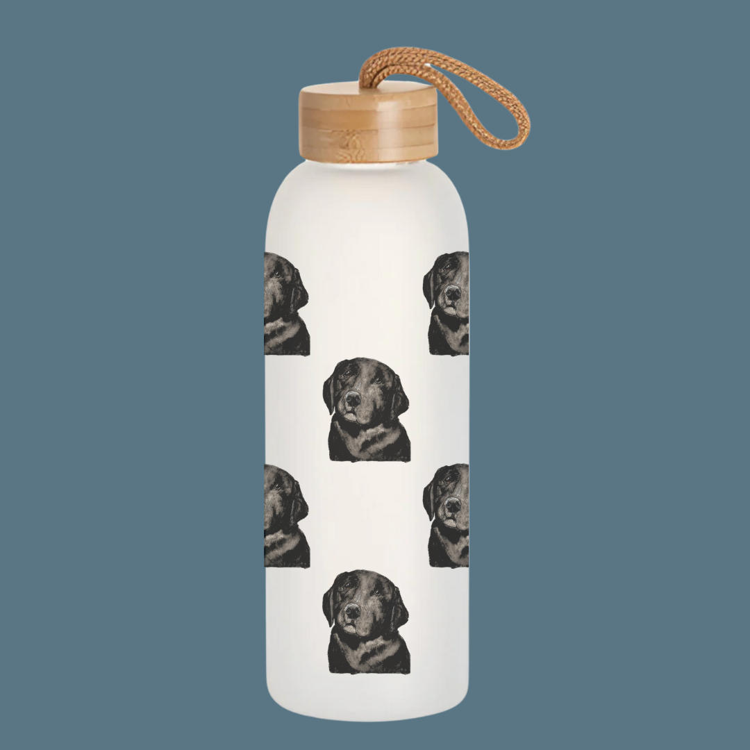 Stay Pawsitively Hydrated – Om Nom Nomnivore Glass Bottle