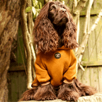 Dog Hoodie - Charcoal Grey