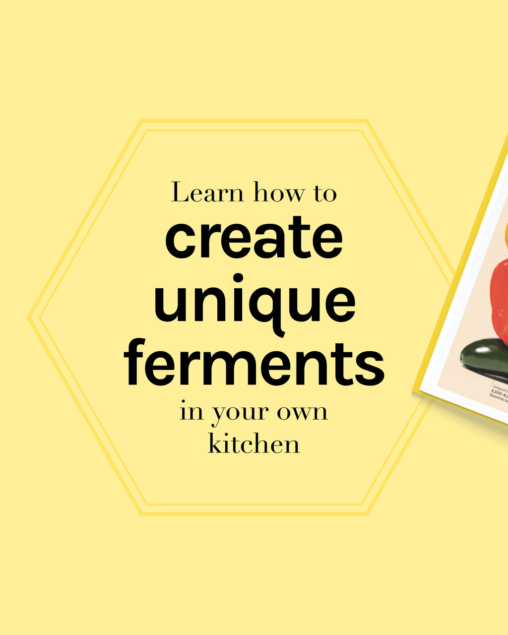 The Science of Fermentation