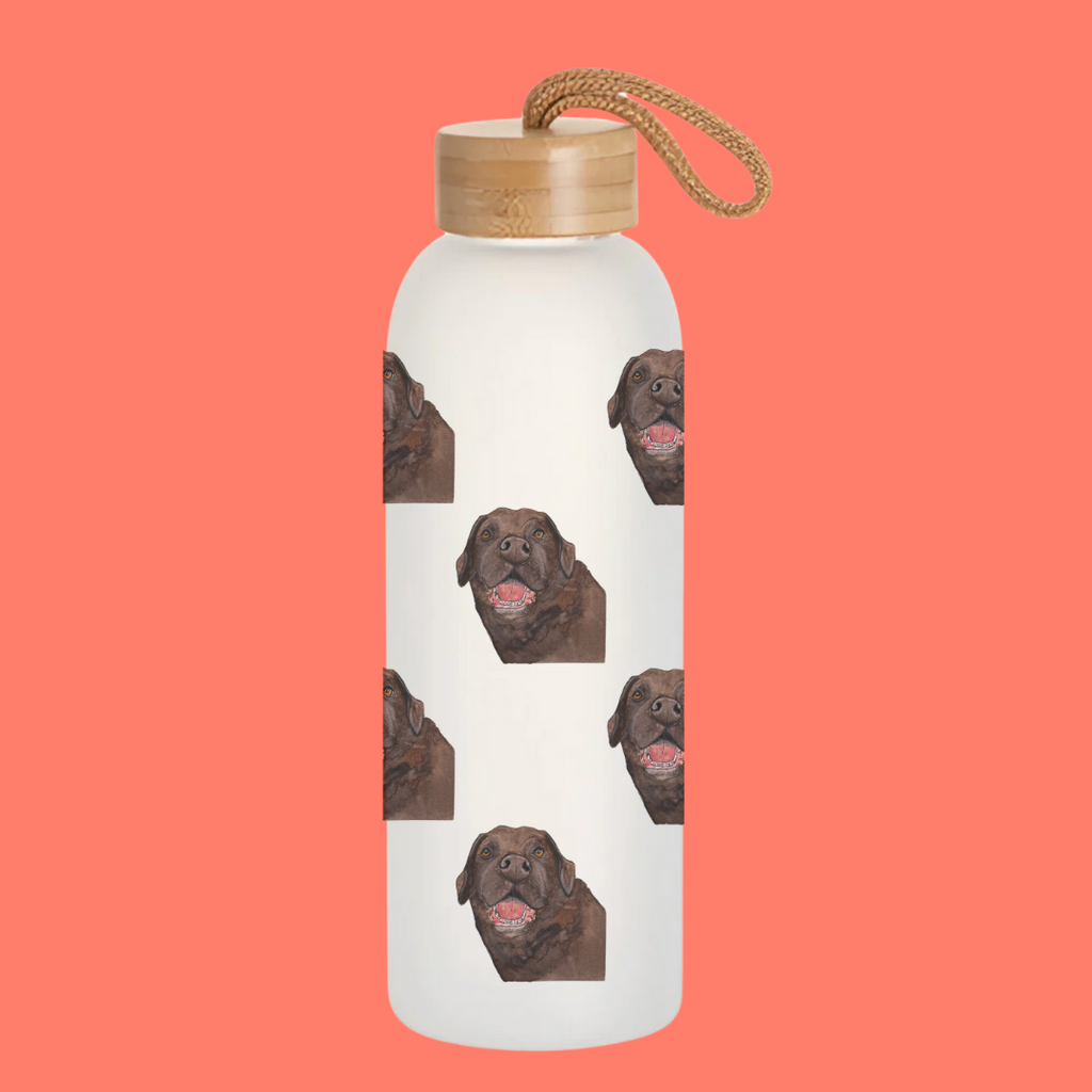 Stay Pawsitively Hydrated – Om Nom Nomnivore Glass Bottle