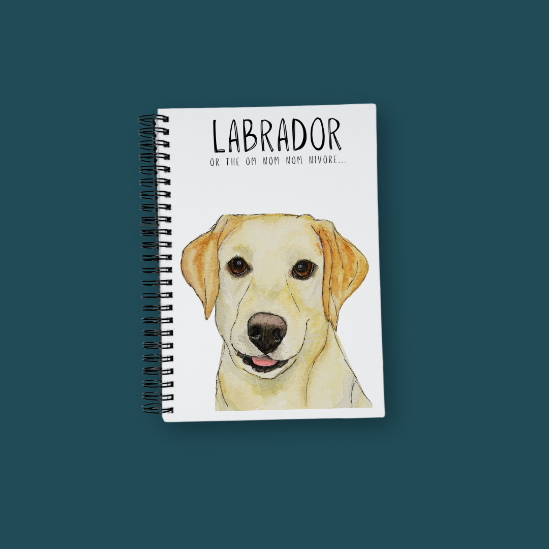 “Paws, Reflect, Repeat” — The Om Nom Nomnivore Notebook