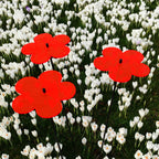 Large Garden Decor Ornaments Set of 3 'Blossoms'