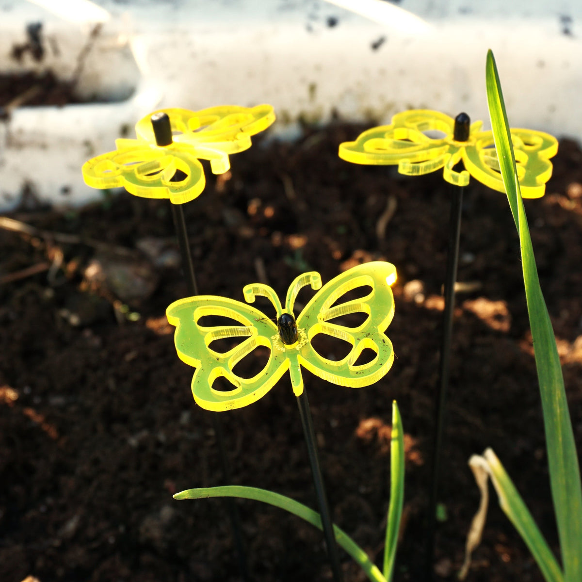Small Garden Décor Ornaments Set of 3 'Comma Butterfly'