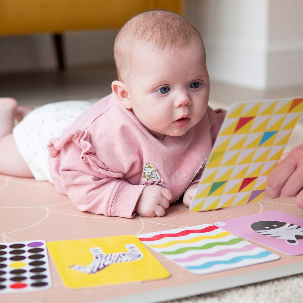 Sensory Flash Card Bundle