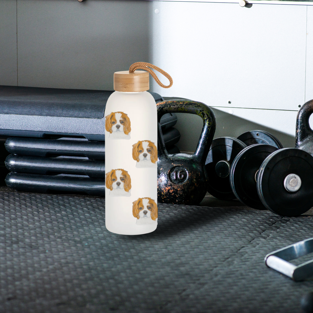 Stay Pawsitive: Royal Cavalier Frosted Glass Water Bottle