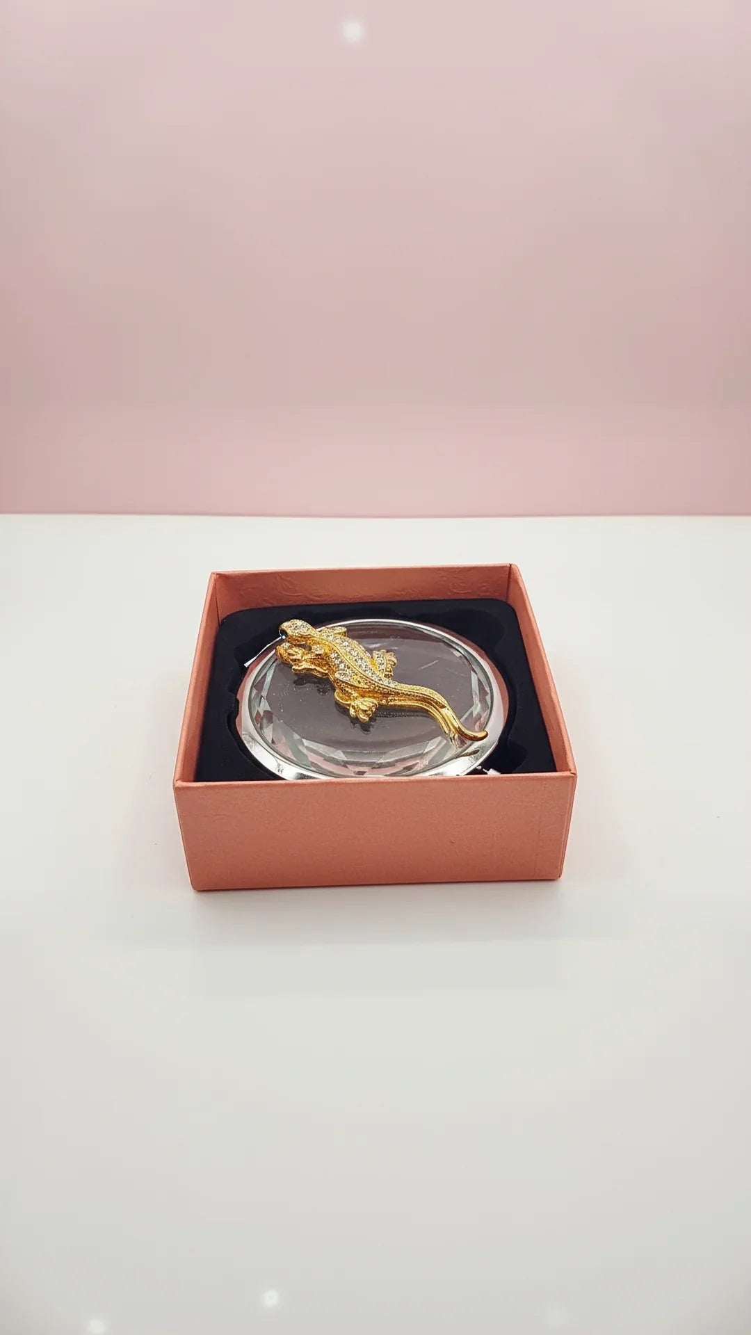 Lizard Reptile Compact Mirror & Gift Box