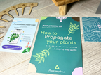 Plant Propagation Gift Set #4