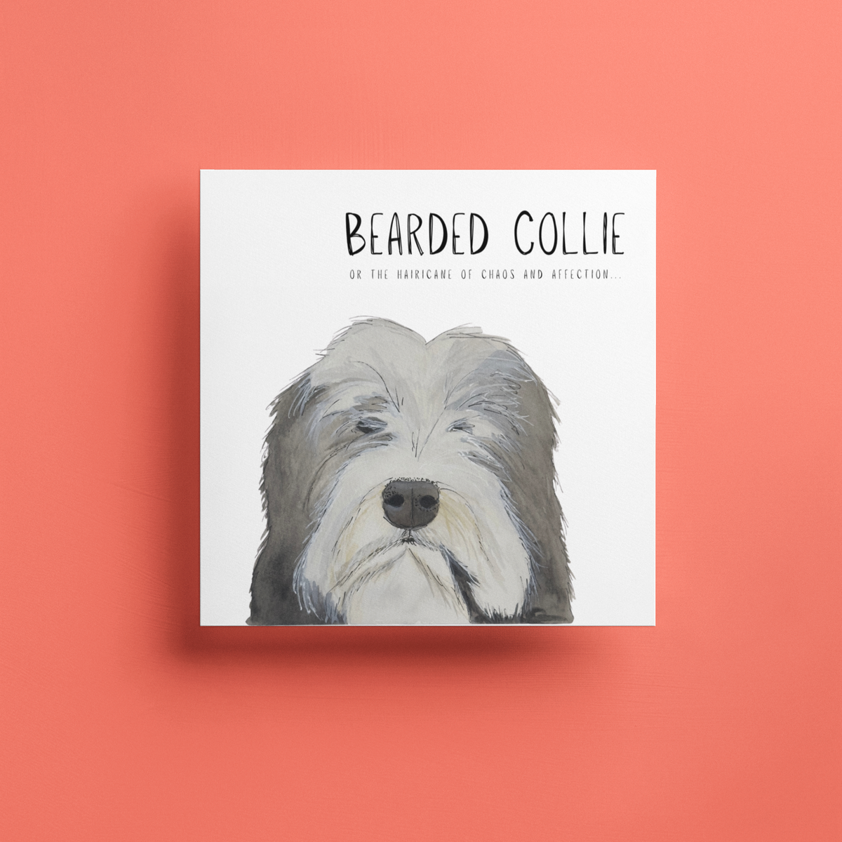Hairy Wishes & Tailspins: Bearded Collie Greeting Card