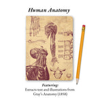 The Living Code: Anatomy, Neuroscience, Evolution & Genetics
