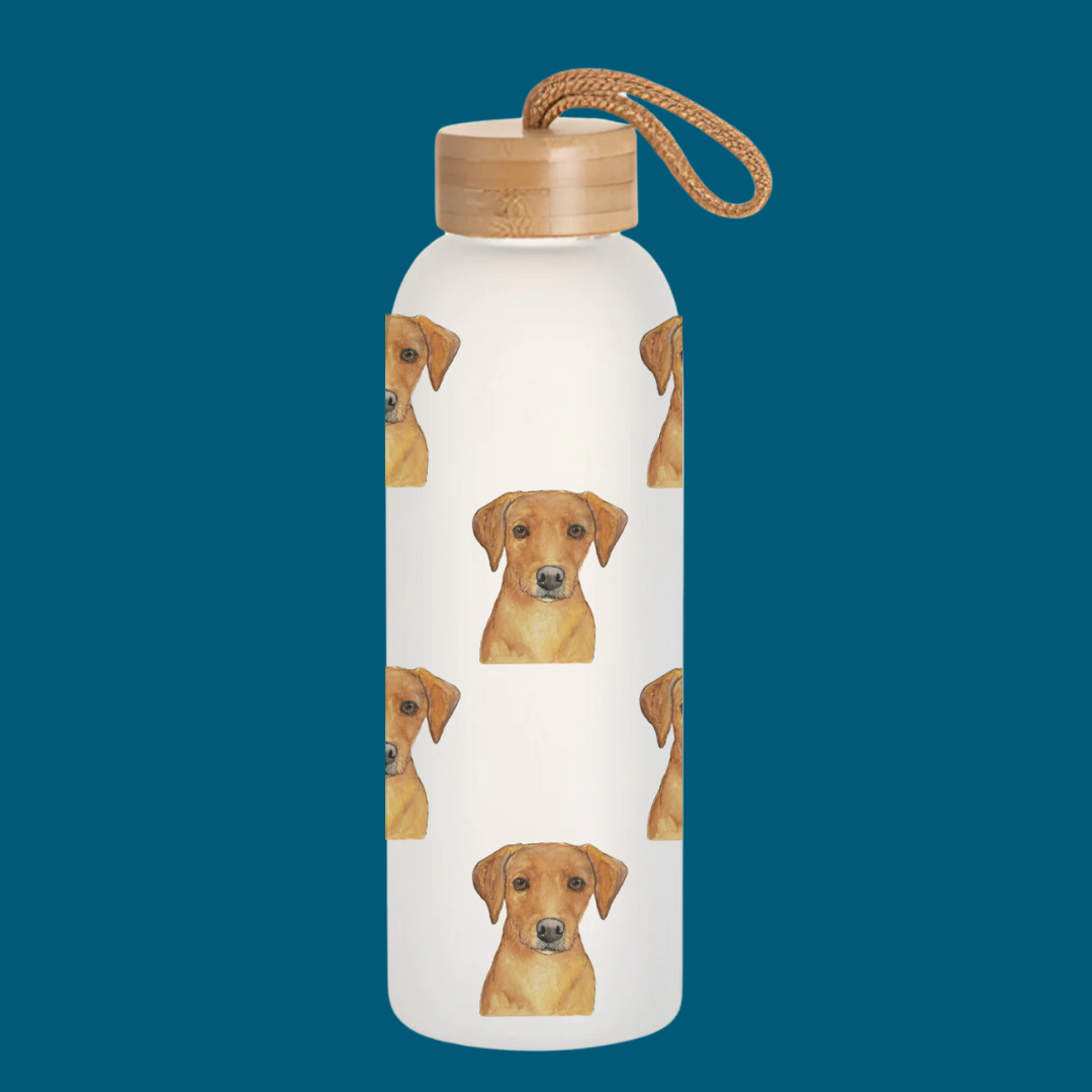 Stay Pawsitively Hydrated – Om Nom Nomnivore Glass Bottle