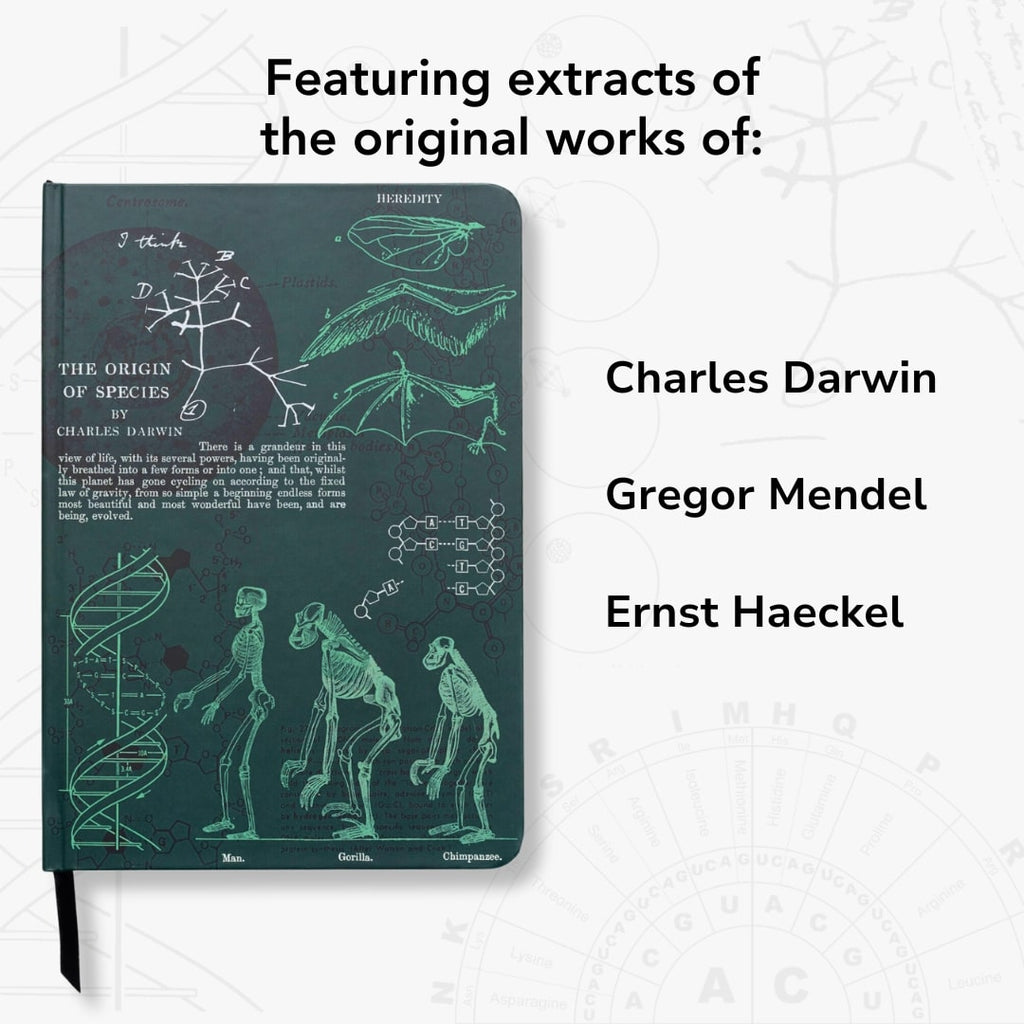 Evolution & Genetics A5 Hardcover