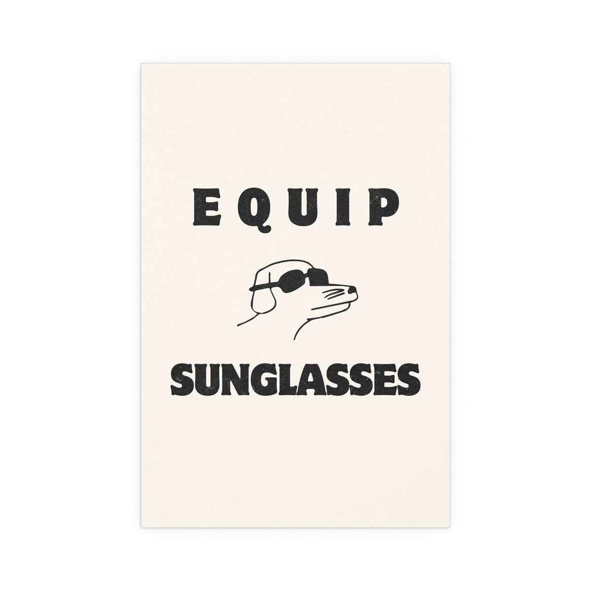 Hot Mulligan x Modern Baseball - Equip Sunglasses