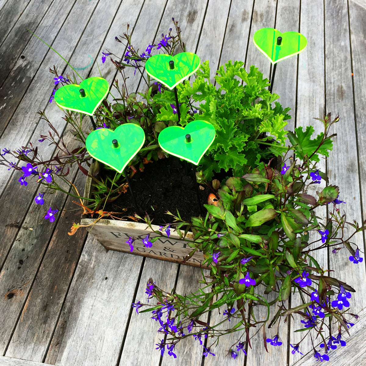 Small Garden Décor Ornaments Set of 5 'Hearts'