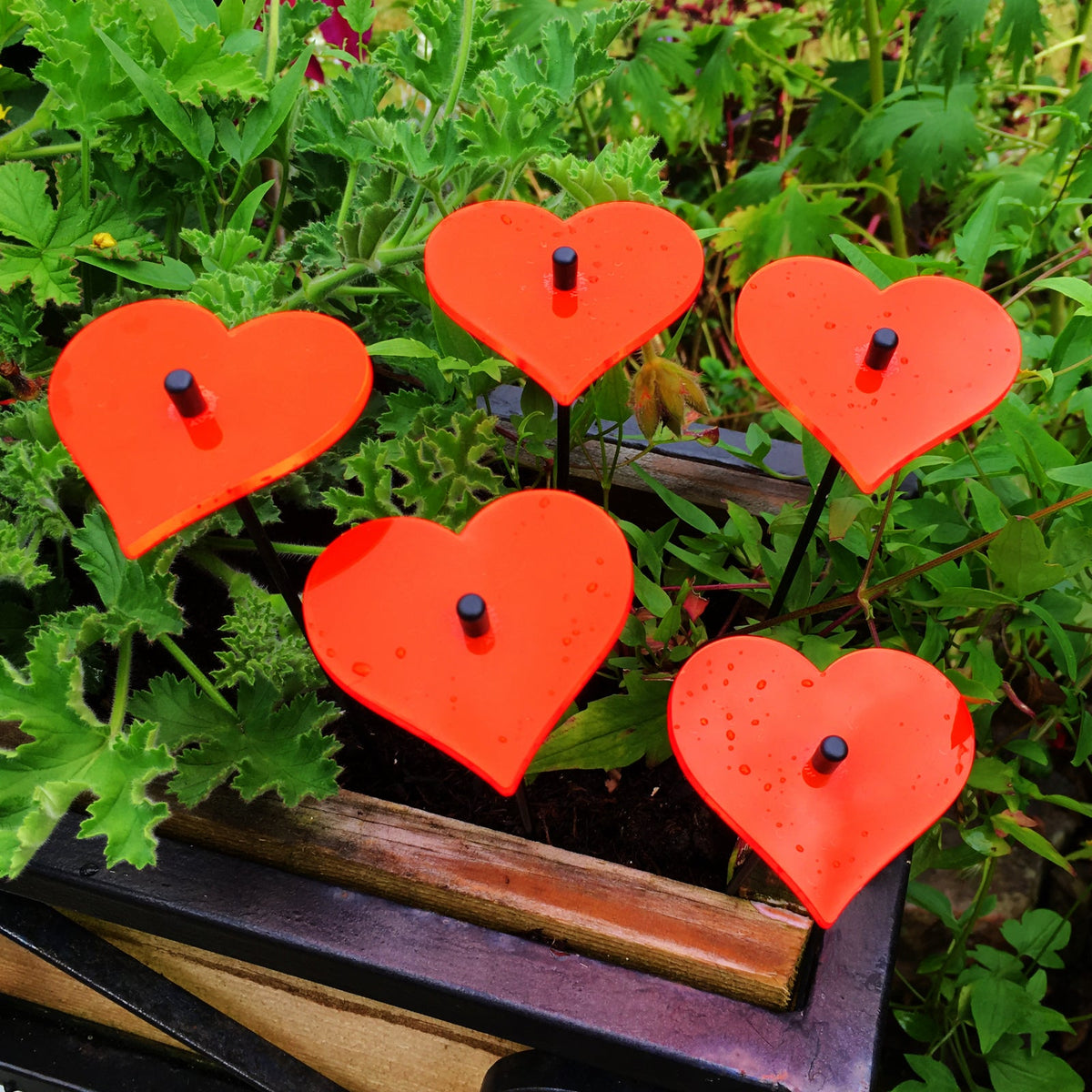 Small Garden Décor Ornaments Set of 5 'Hearts'