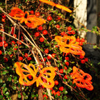 Large Garden Décor Ornaments Set of 5 'Comma Butterflies'