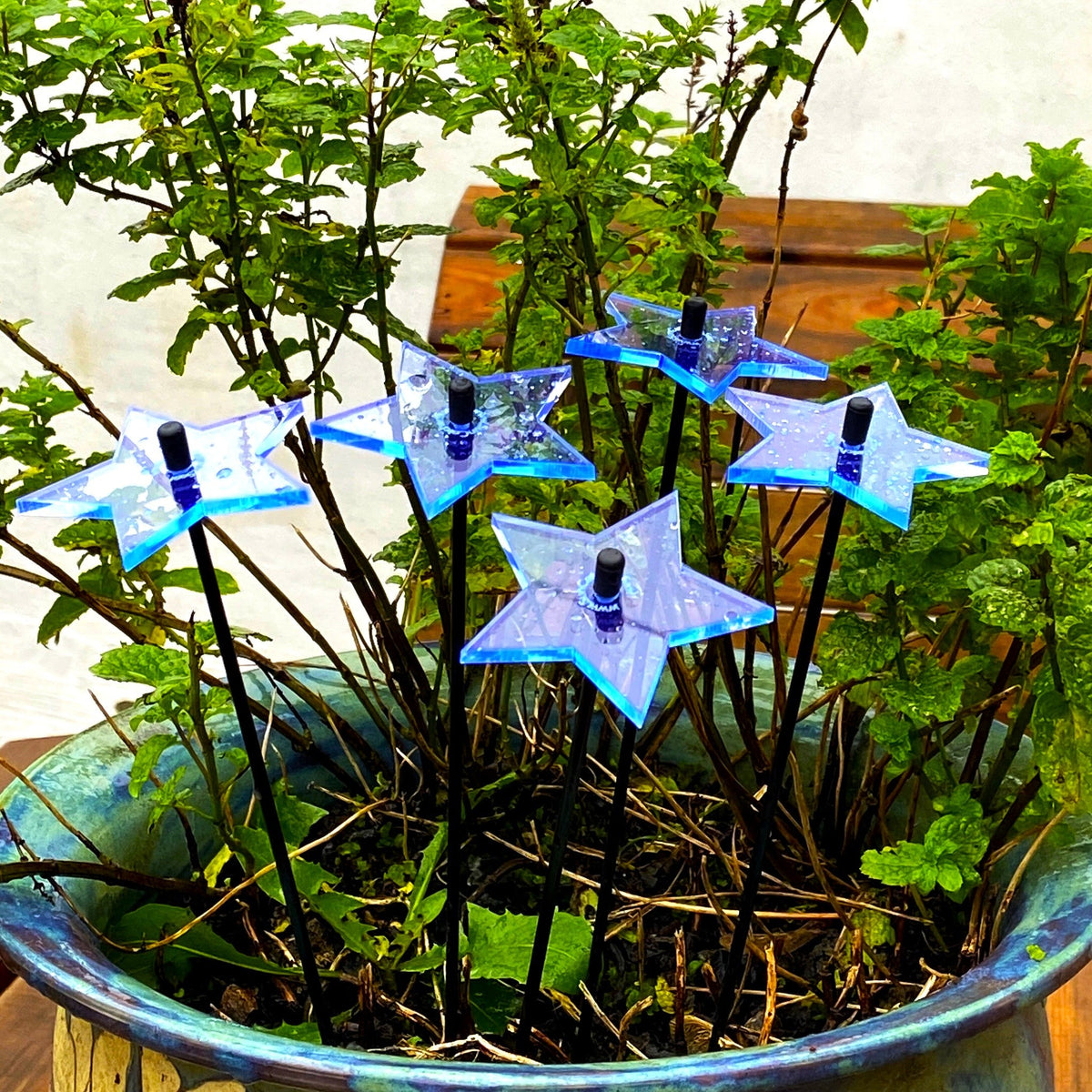 Garden Décor Ornaments Set of 5 small 'Shining Stars'