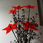 Large Garden Décor Ornaments Set of 5 'Shining Stars'