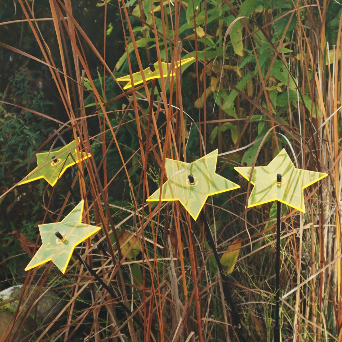 Large Garden Décor Ornaments Set of 5 'Shining Stars'