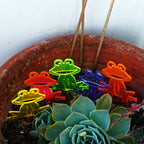 Garden Décor Ornament Stakes Set of 5 'Happy Frogs'