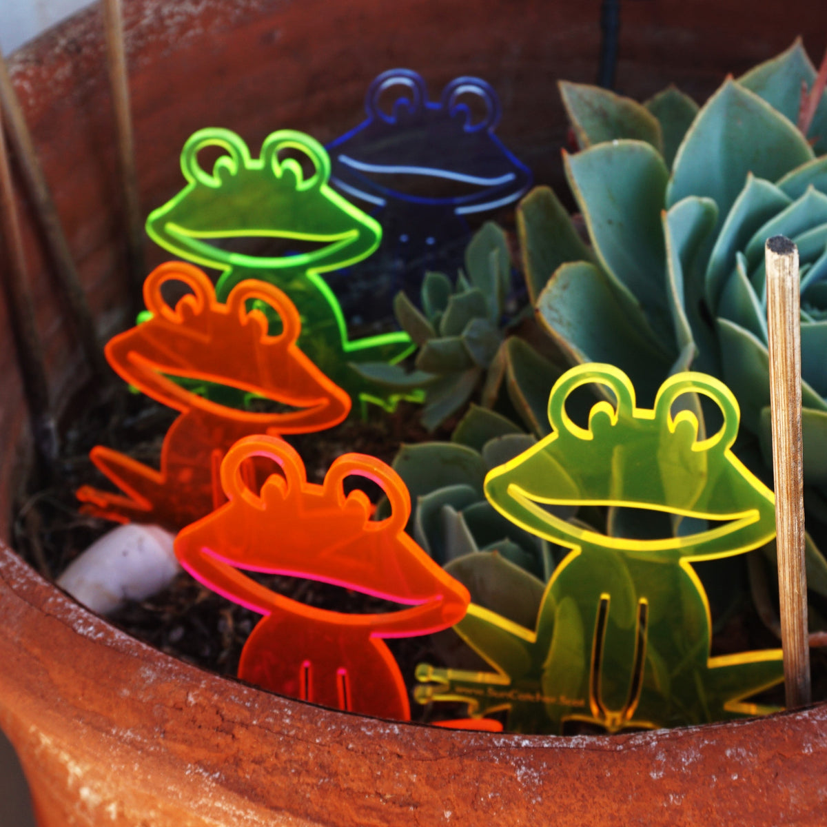 Garden Décor Ornament Stakes Set of 5 'Happy Frogs'