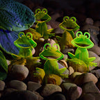 Garden Décor Ornament Stakes Set of 5 'Happy Frogs'