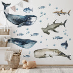 Sharks & Whales Decal Set - Sperm, Humpback, Blue, Hammerhead Shark + More - Watercolour Effect Stickers - Ocean Theme