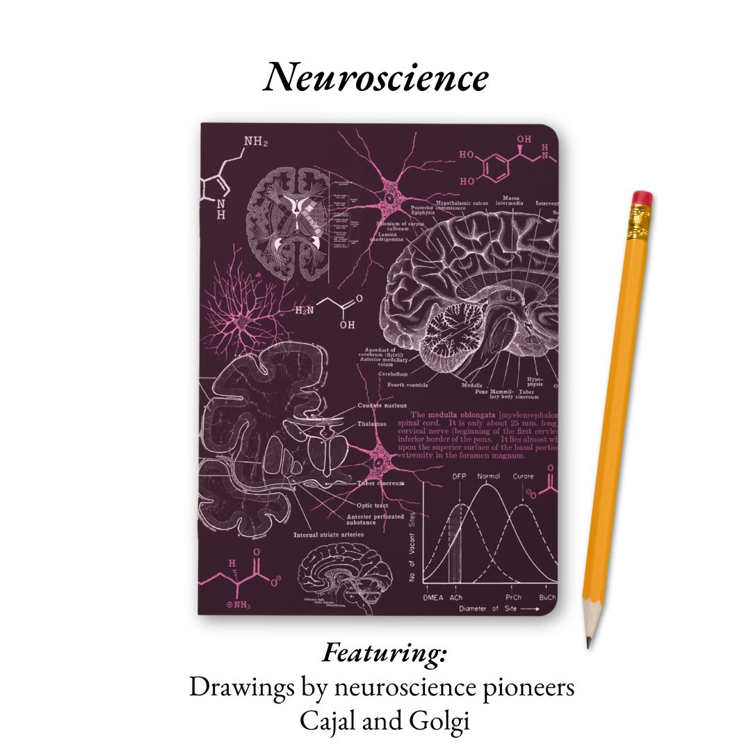 The Living Code: Anatomy, Neuroscience, Evolution & Genetics
