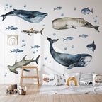 Sharks & Whales Decal Set - Sperm, Humpback, Blue, Hammerhead Shark + More - Watercolour Effect Stickers - Ocean Theme