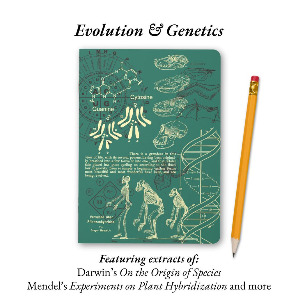 The Living Code: Anatomy, Neuroscience, Evolution & Genetics