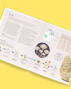The Science of Fermentation