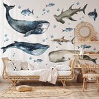 Sharks & Whales Decal Set - Sperm, Humpback, Blue, Hammerhead Shark + More - Watercolour Effect Stickers - Ocean Theme