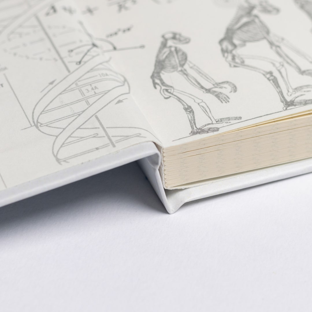 Anatomy A5 Hardcover