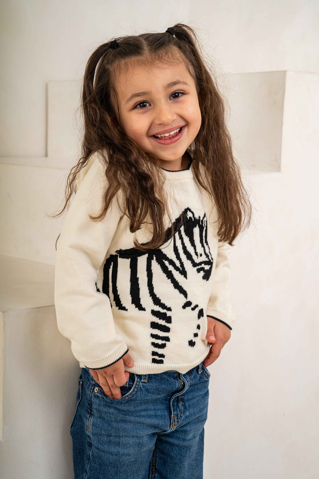 Lucky Zebra Jumper
