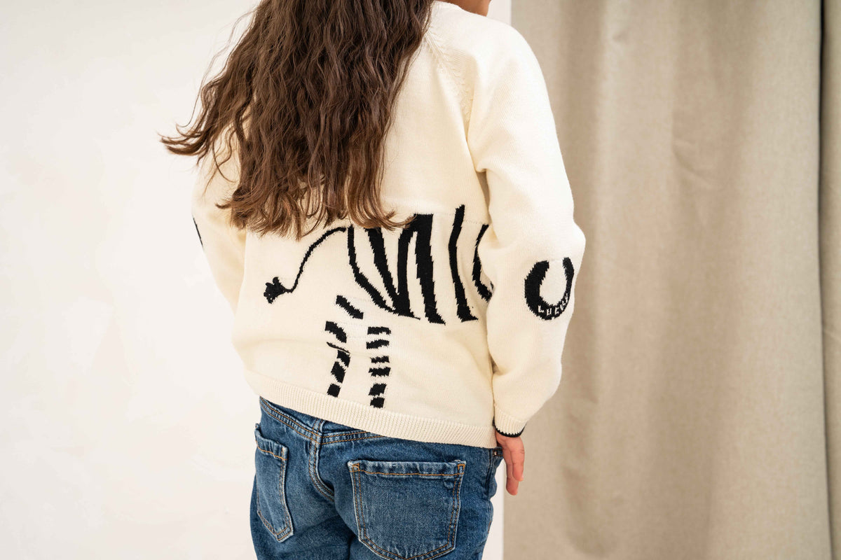 Lucky Zebra Jumper