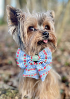 Eden's Orchard - Dog Collar + ID Tag Holder