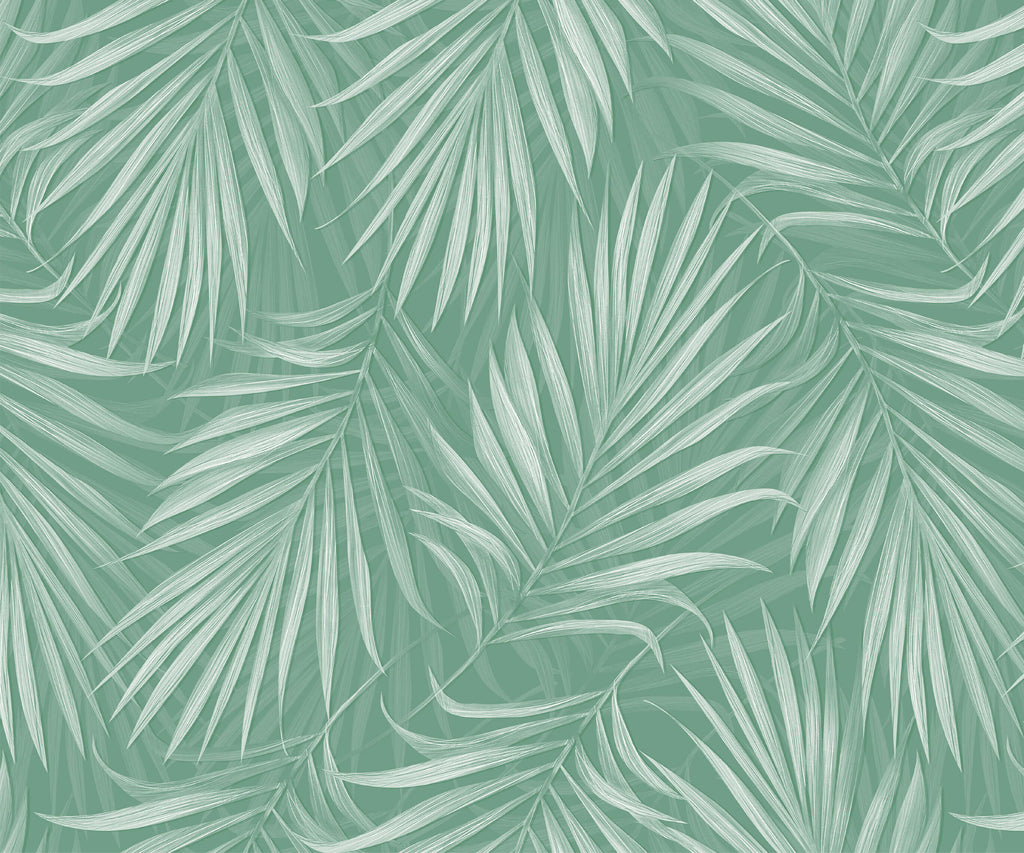 Areca