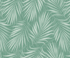 Areca