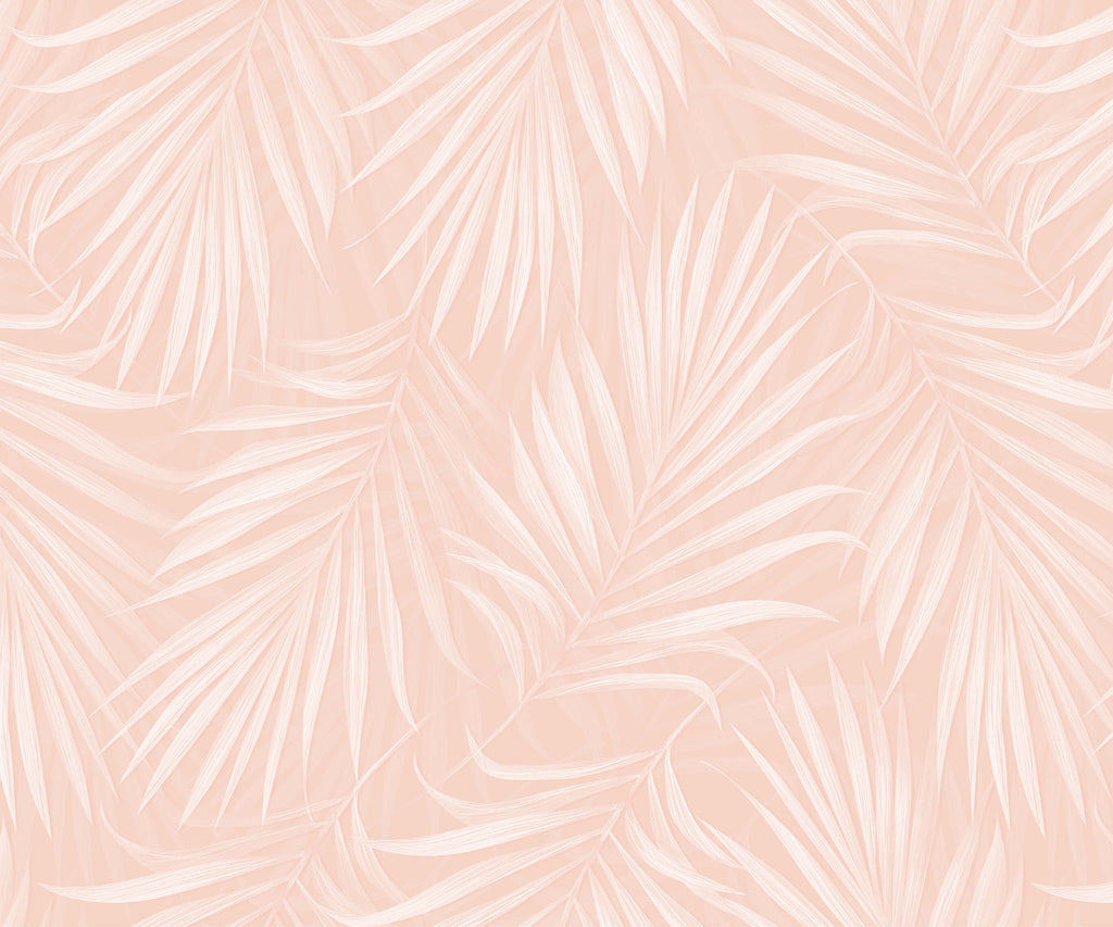 Areca