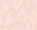 Areca