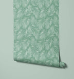Areca